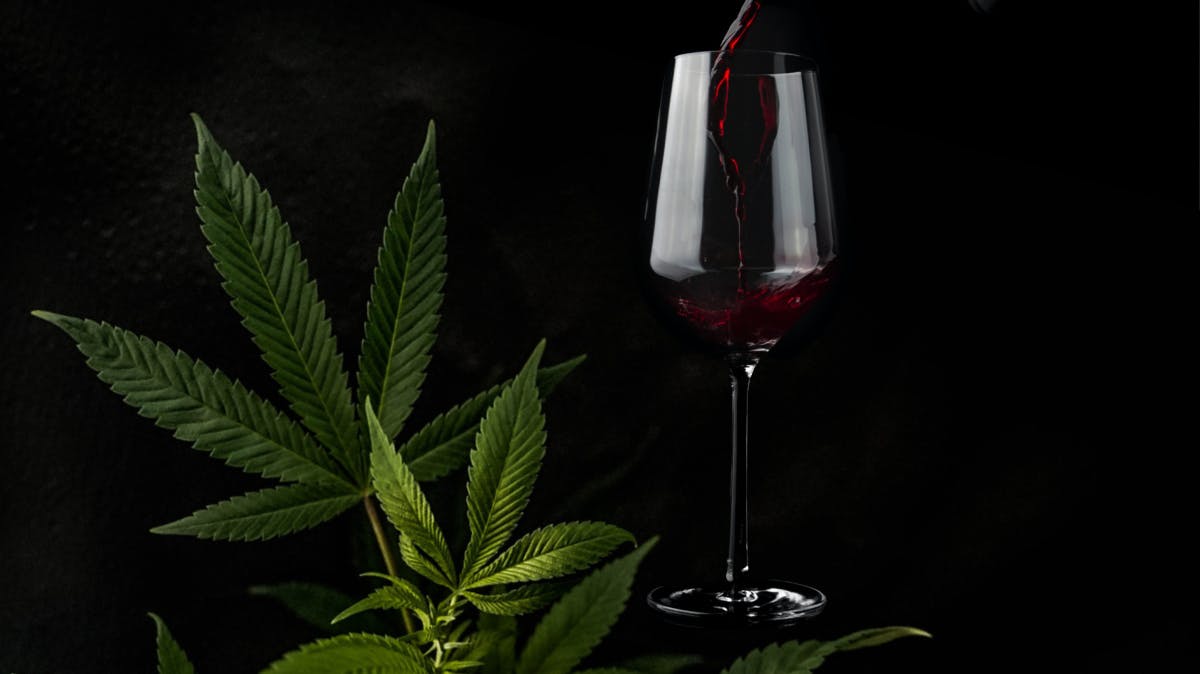 Sultry red wine poured into a glass, surrounded by lush cannabis leaves. 