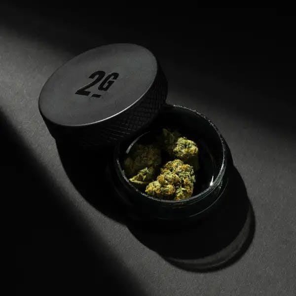 Cannabis in Monogram container 