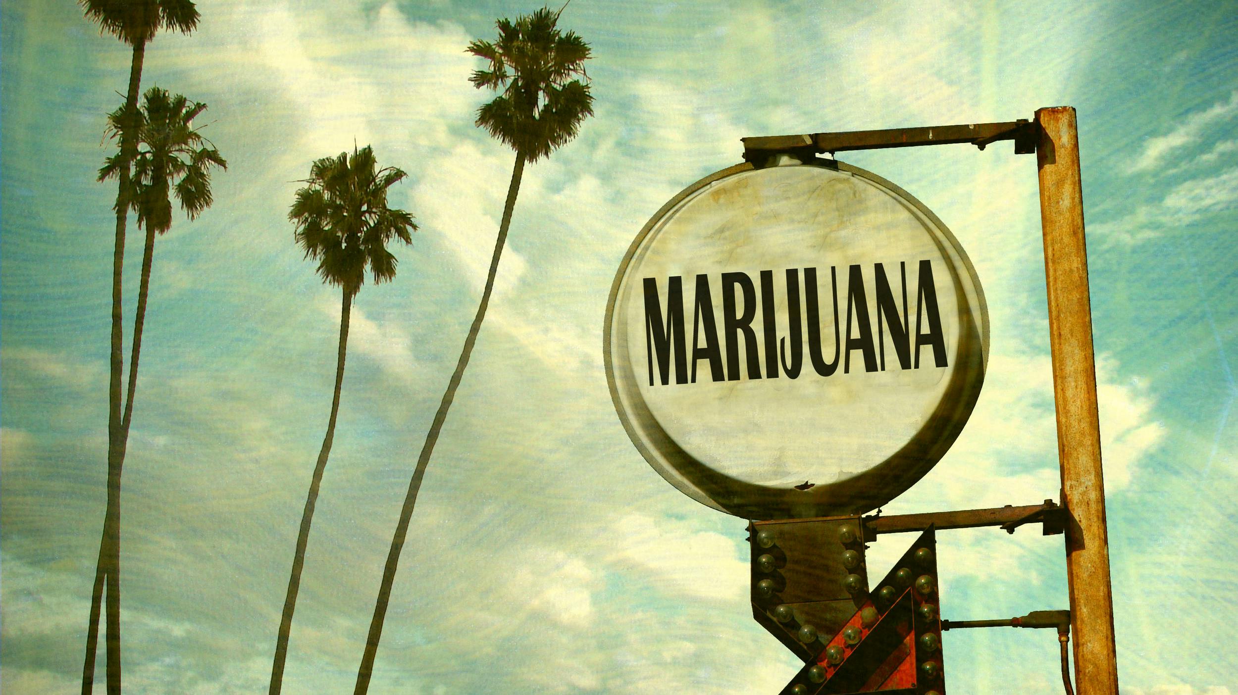 Cannabis marijuana store dispensary