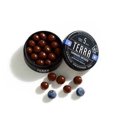 kiva terra chocolate covered blueberries 