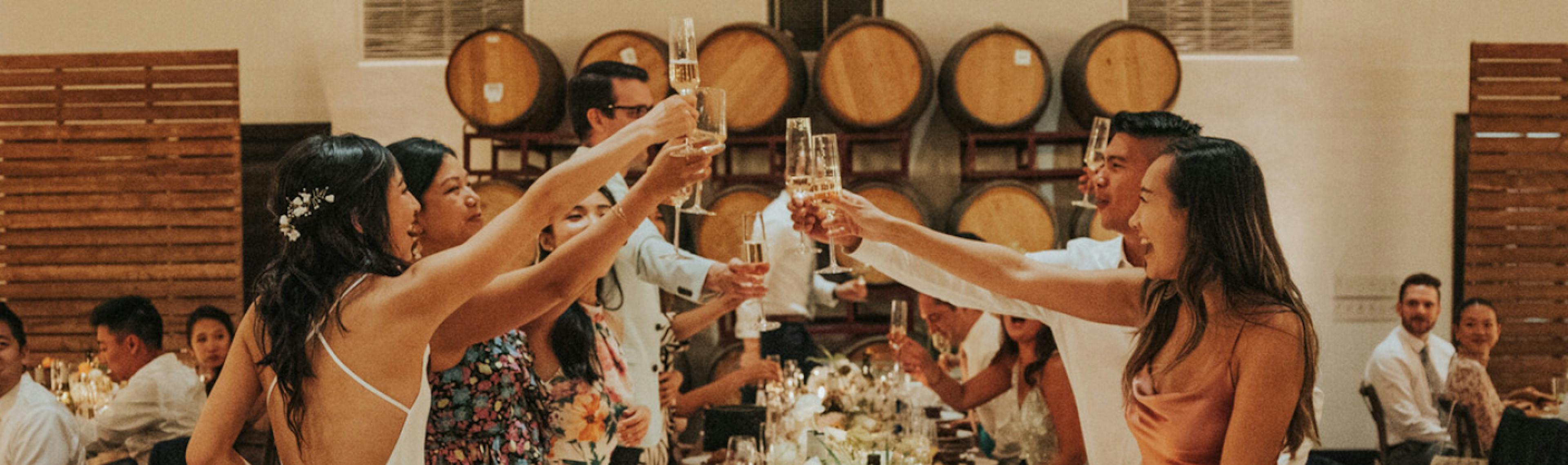 A bride and a group of wedding guests raising their glasses in a celebratory toast during the reception.