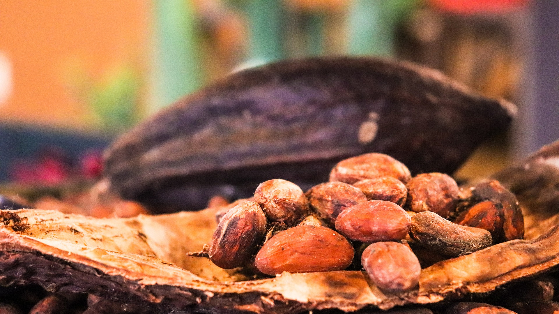 Cocoa prices reached record highs in 2024