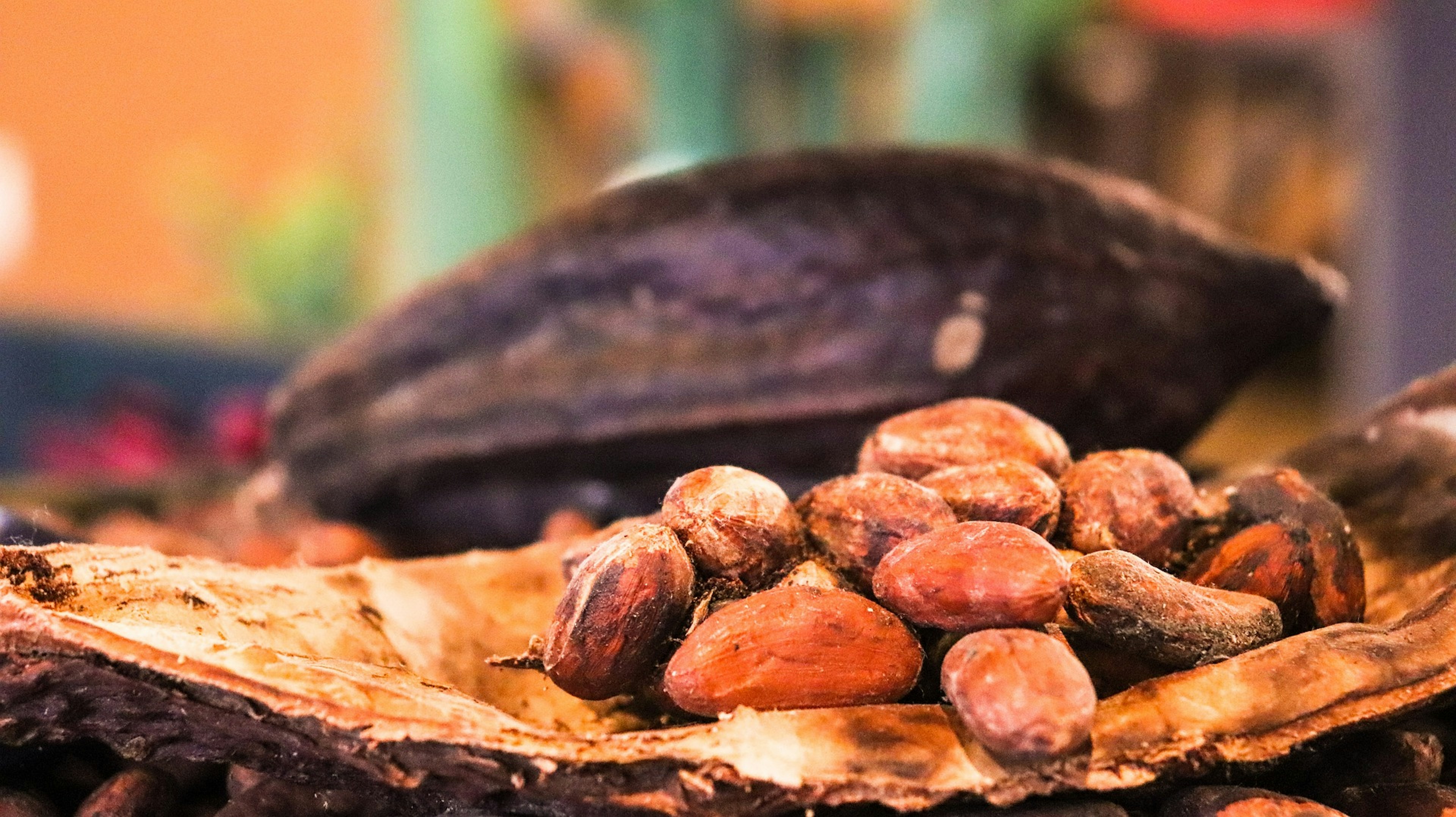 Cocoa prices reached record highs in 2024