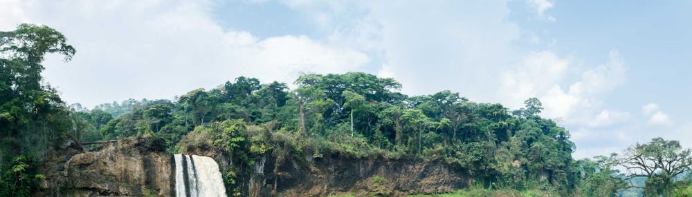 Transport Cameroon