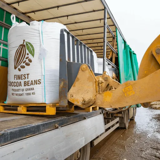 Bigbag cacao transport