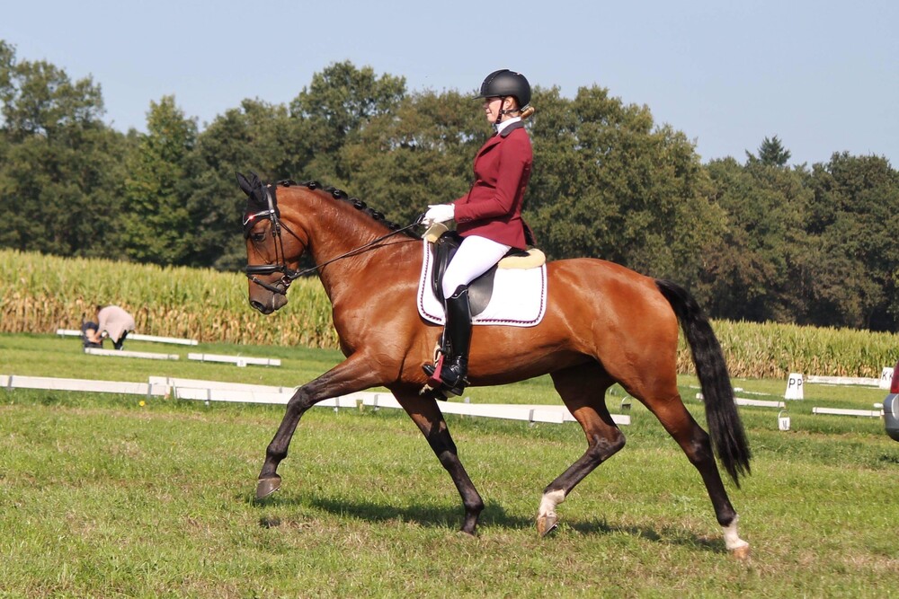 Gwen op wedstrijd
