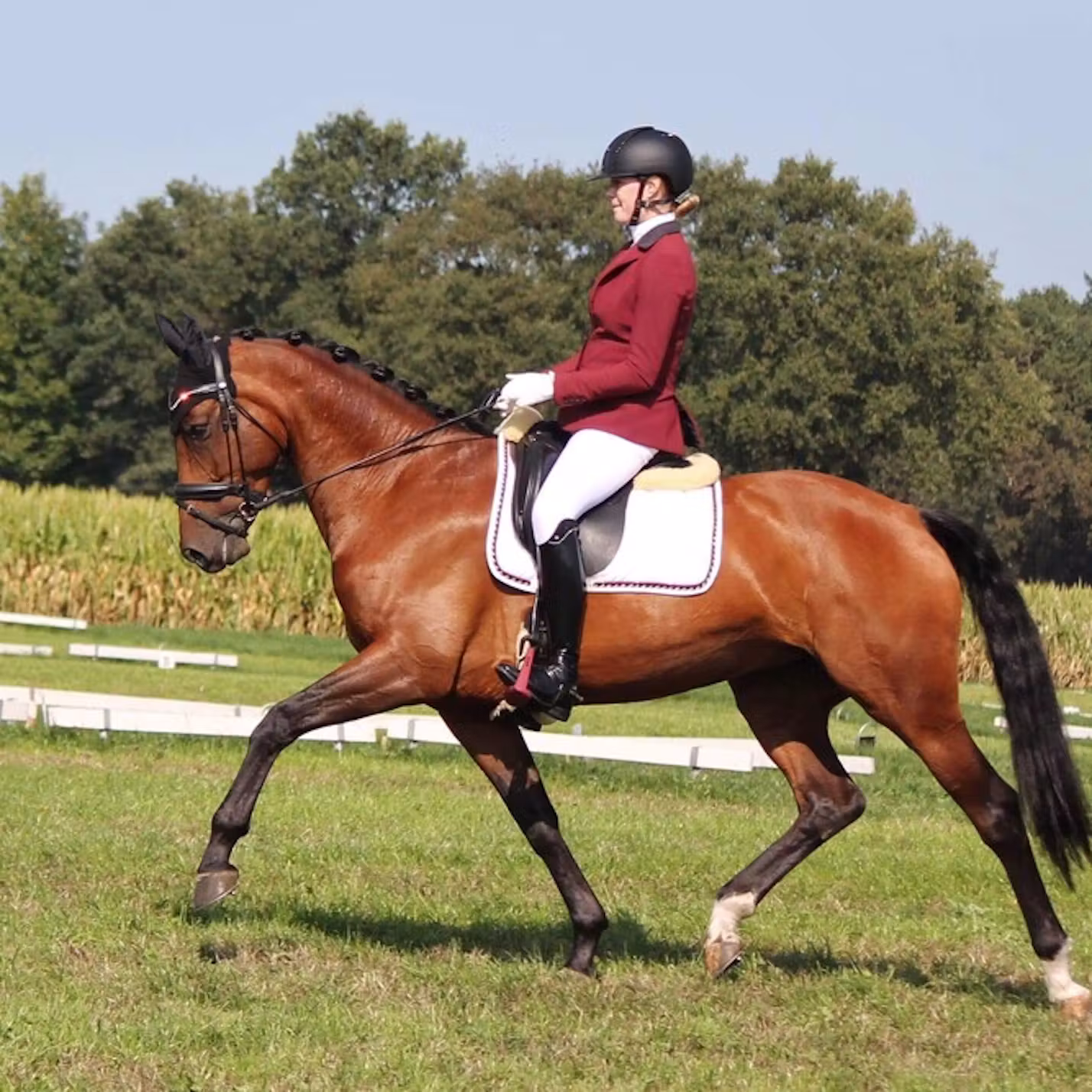 Gwen op wedstrijd