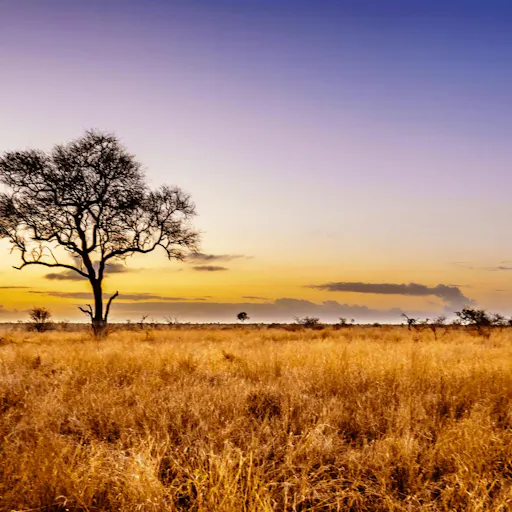 Transport Noord-Afrika