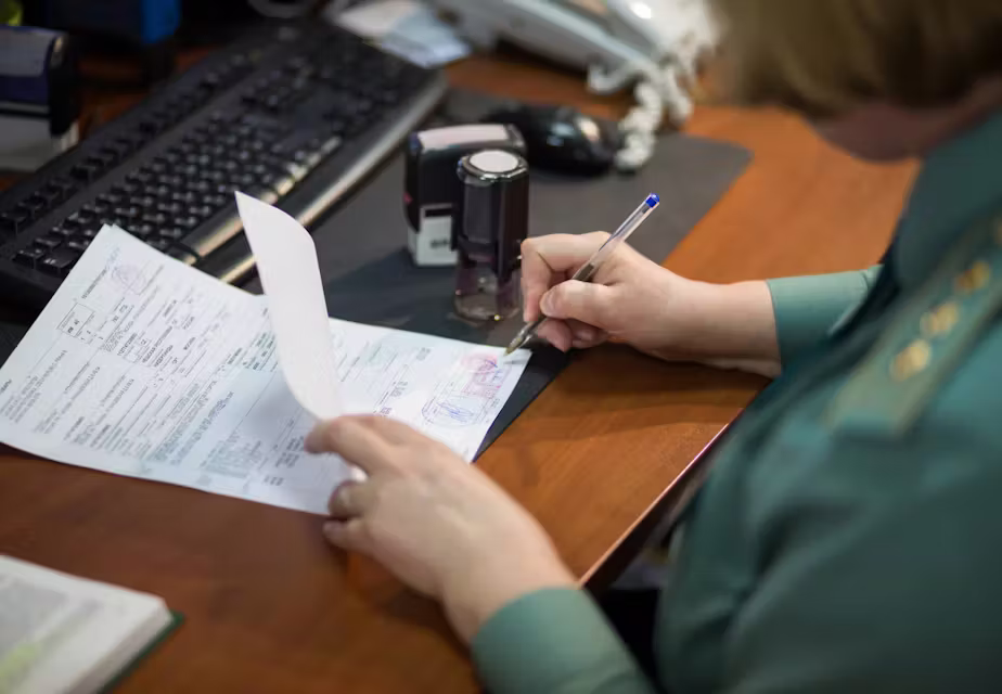 Begin douaneafhandeling TTS