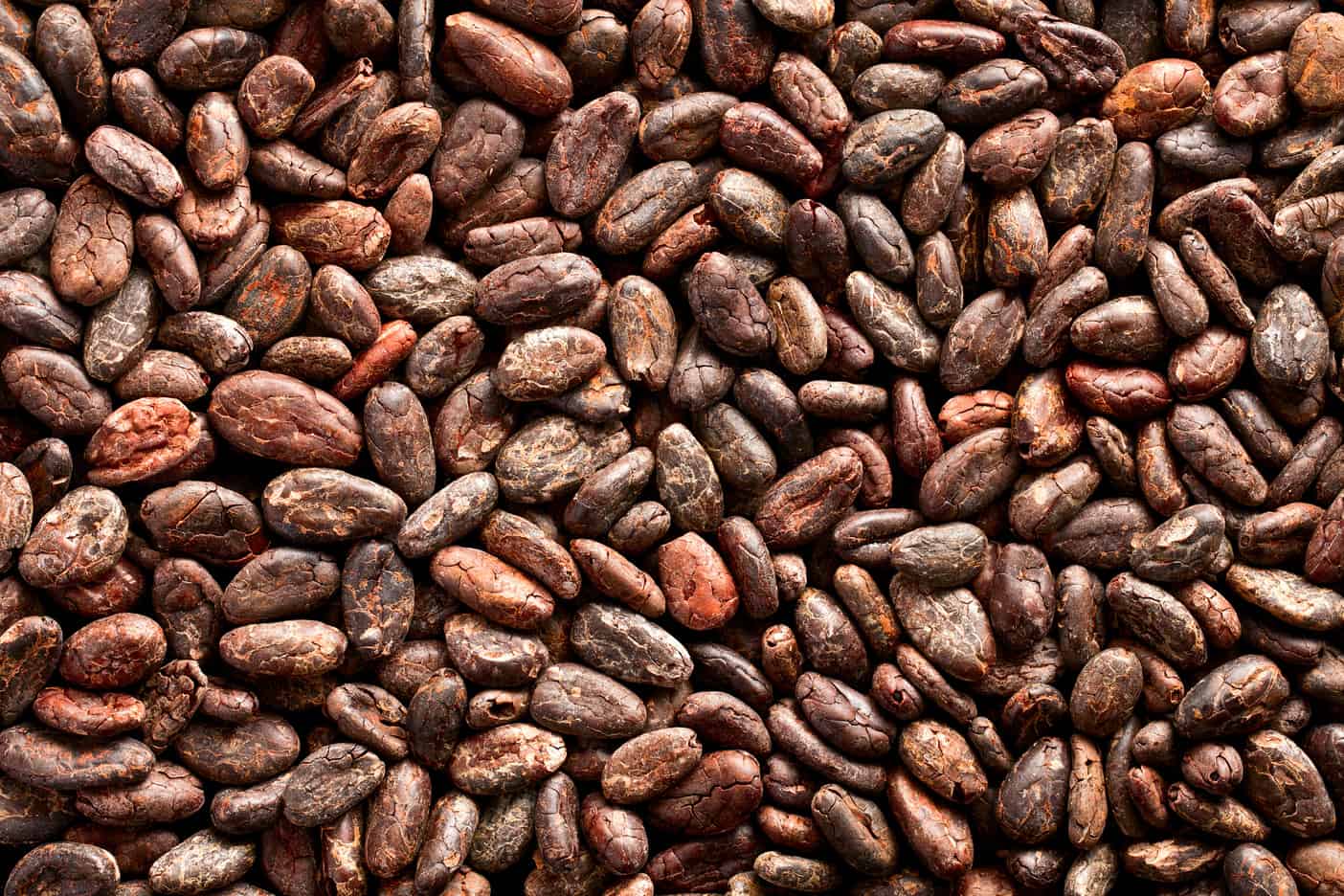 Cacao transport bigbags