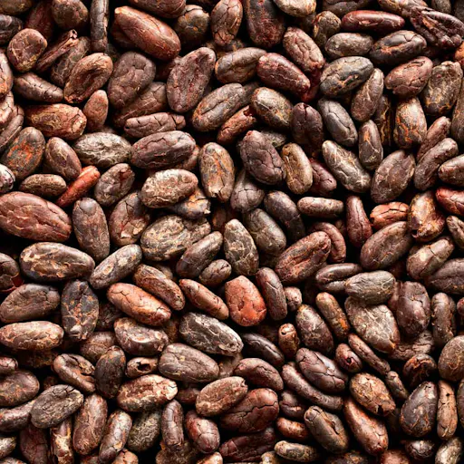 Cacao transport bigbags