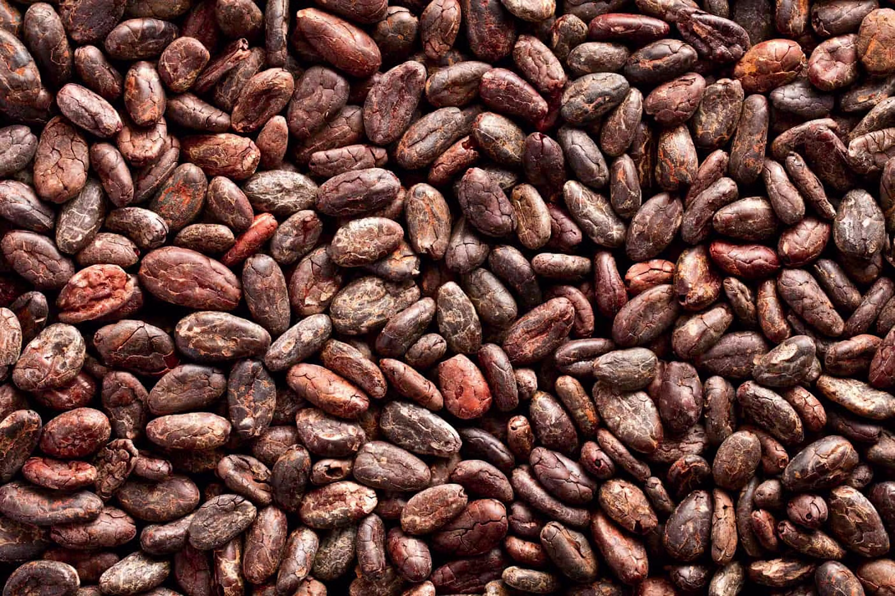 Cacao transport bigbags