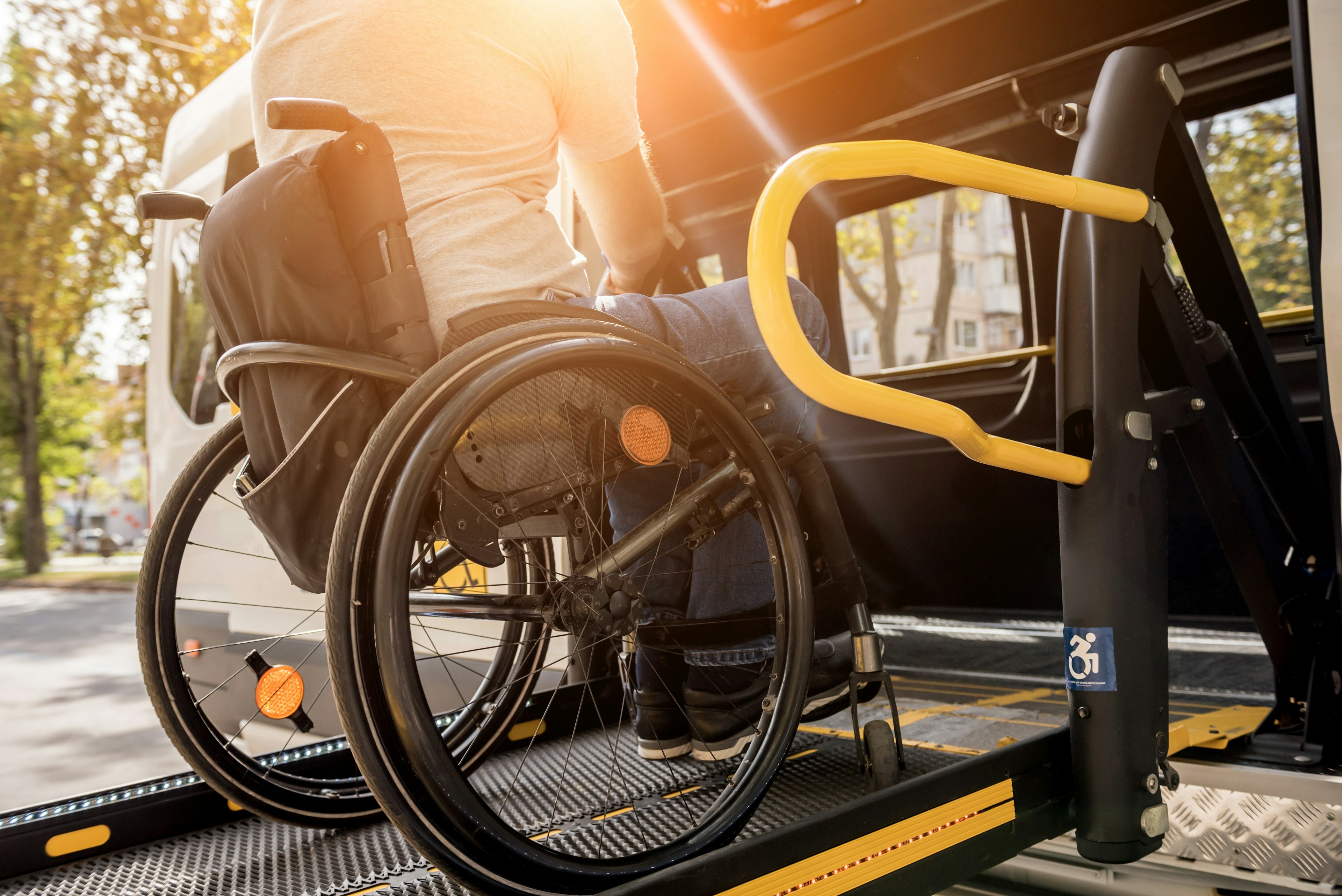 Dynamic Paratransit