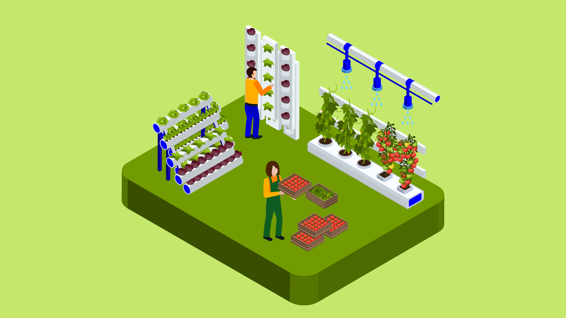 Урбаністична вертикальна ферма Урбаністична вертикальна ферма