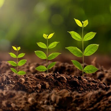 Maison passive écologique