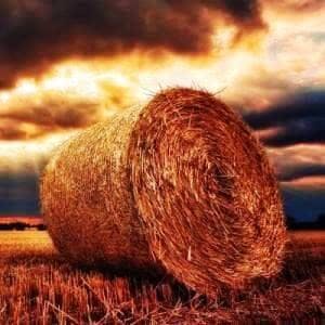 Maison en paille - exemple de maison ecolo