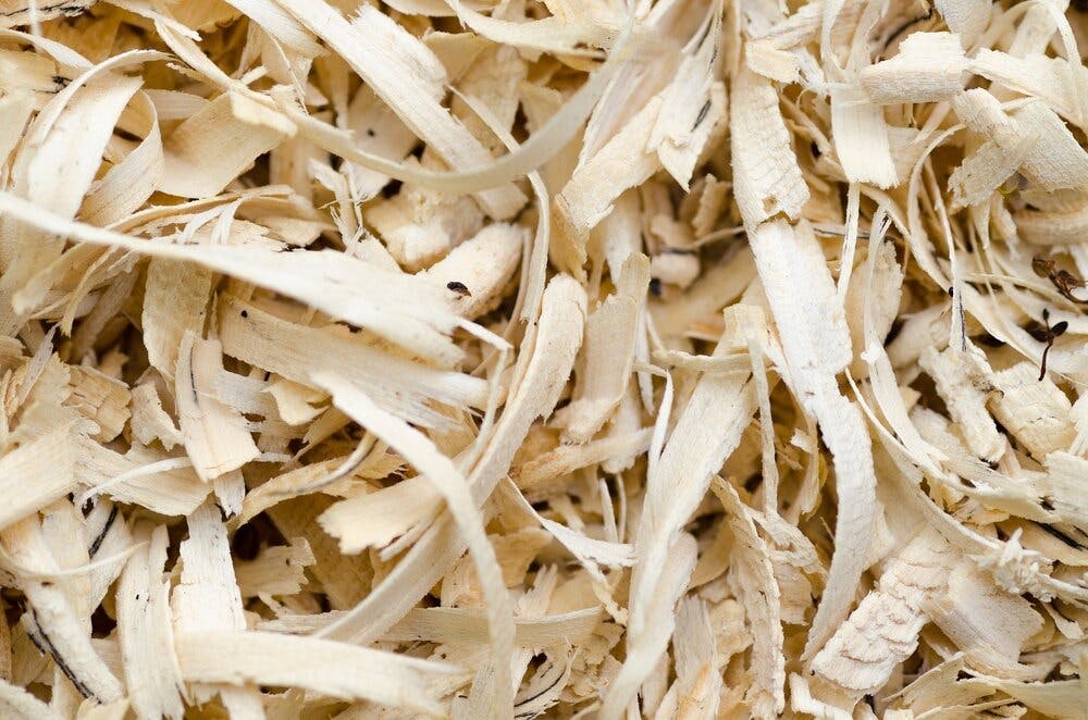 fibre de bois
