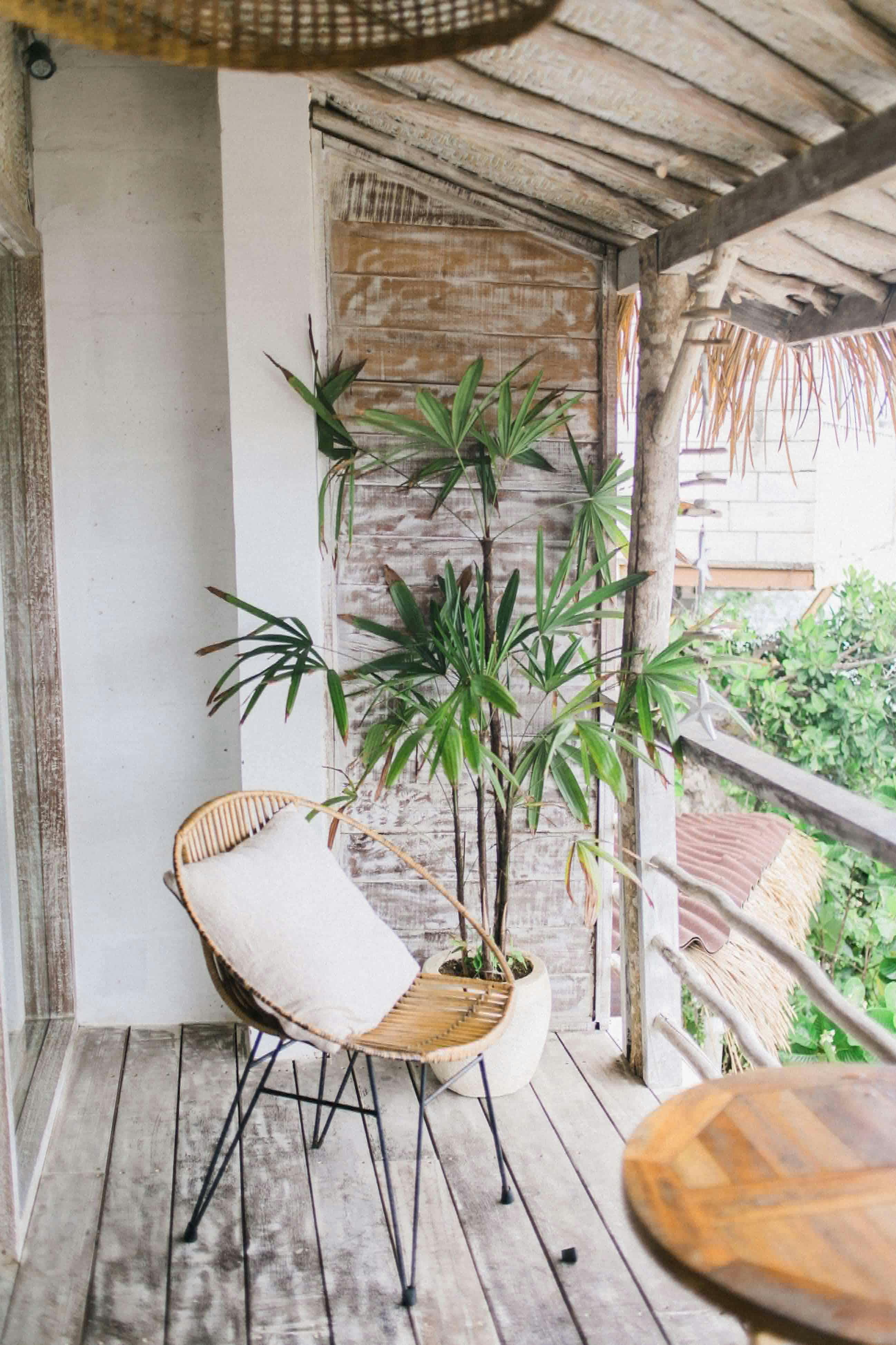balcon chaise grande plante