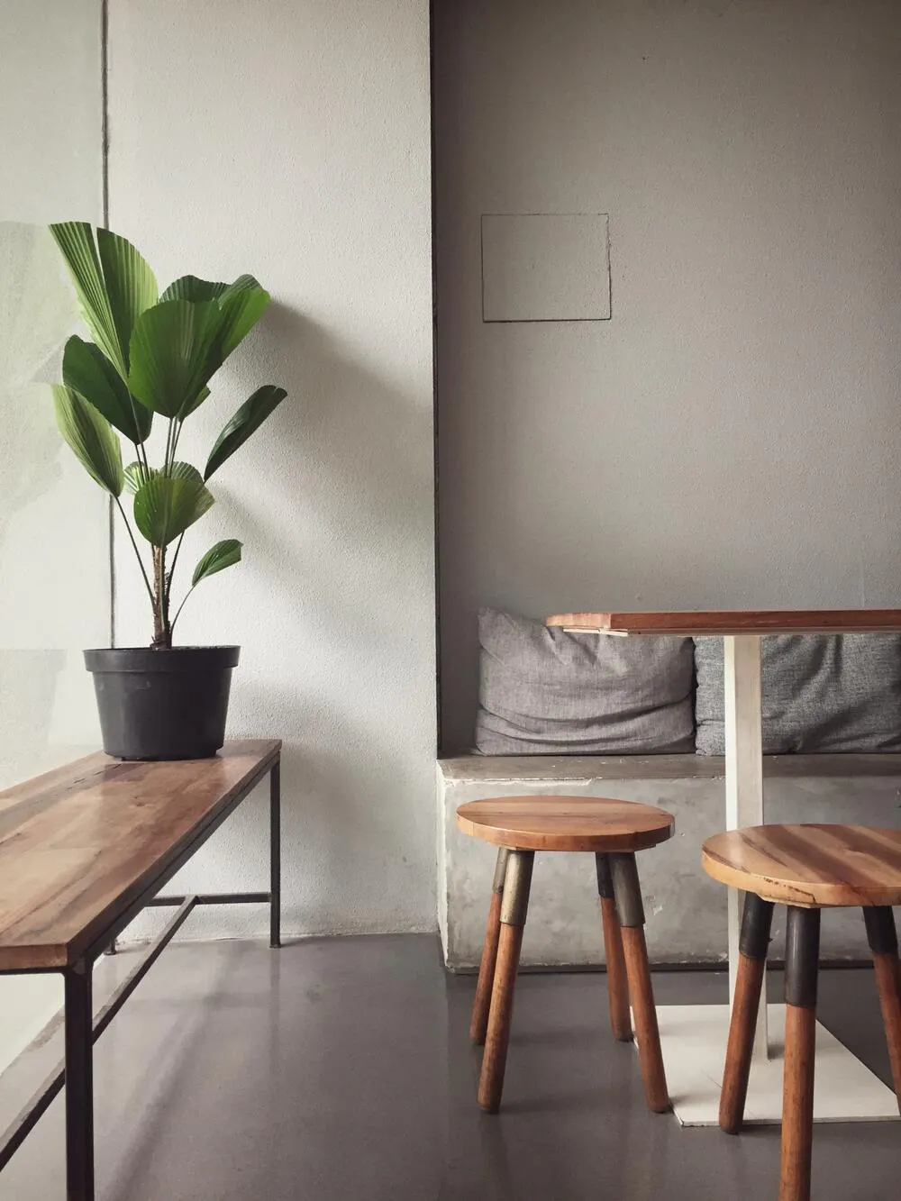 plantes salon