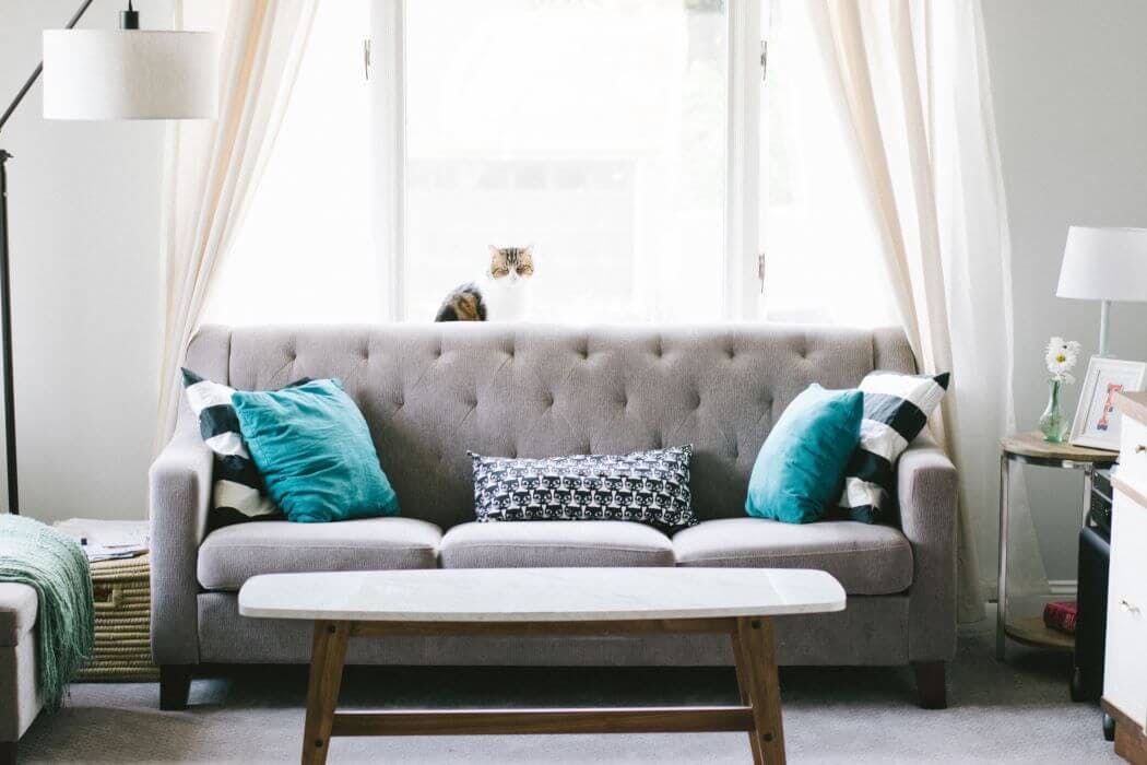 Canapé trendy pour une decoration d'interieur