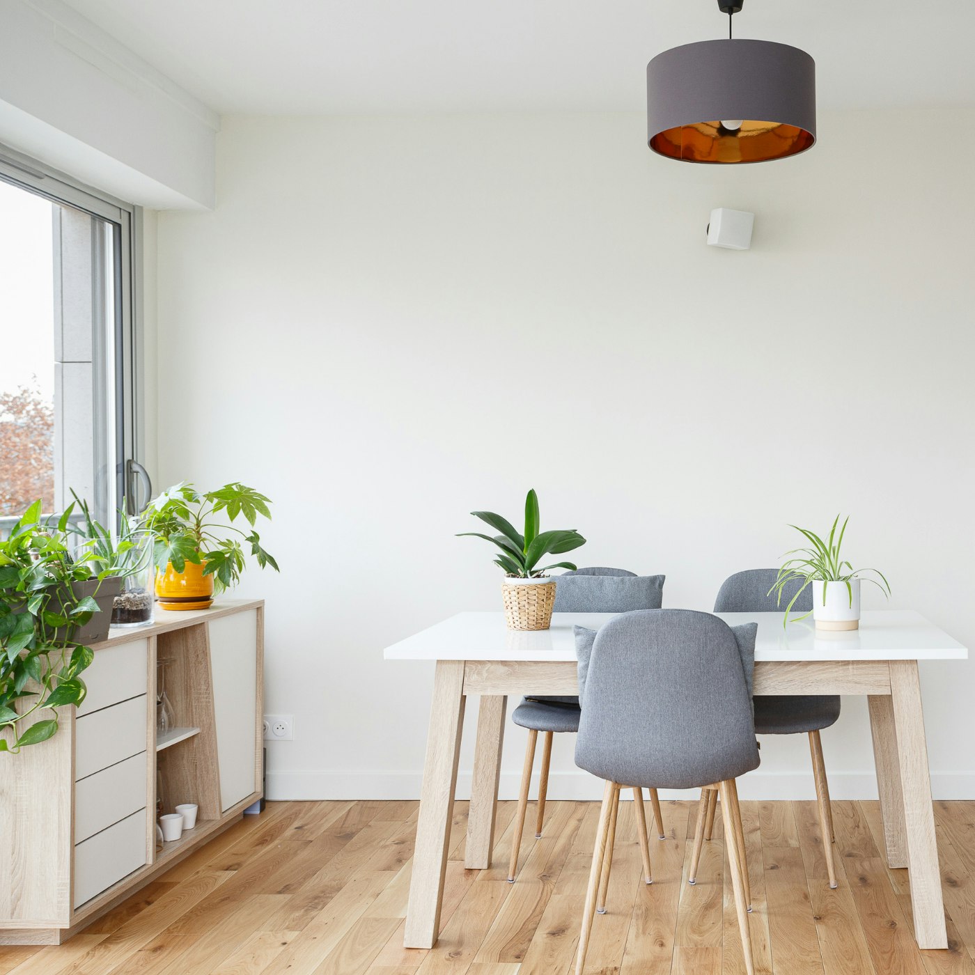 Appartement Paris rénovation complète 65m2