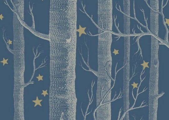 Papier peint inspiration nuit