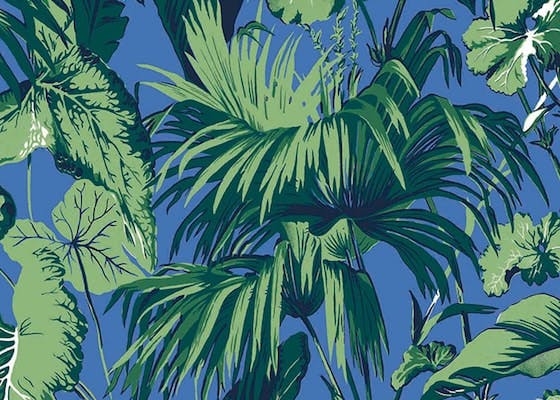 Gratuit Images Top 10 Papiers Peints Tropicaux dernière salutations