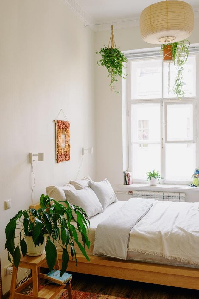 chambre tons clairs plantes vertes