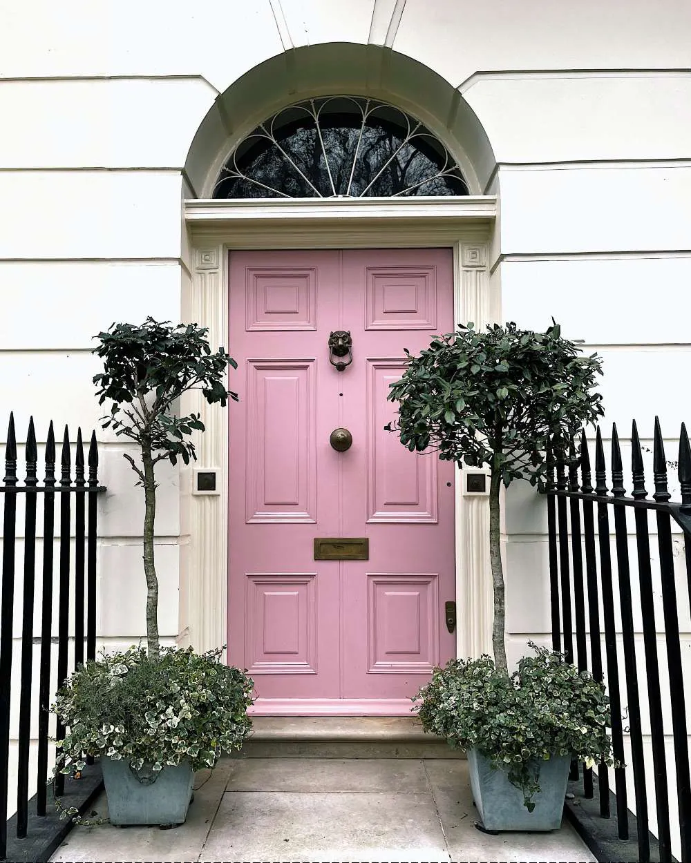 devanture maison rose avec plantes