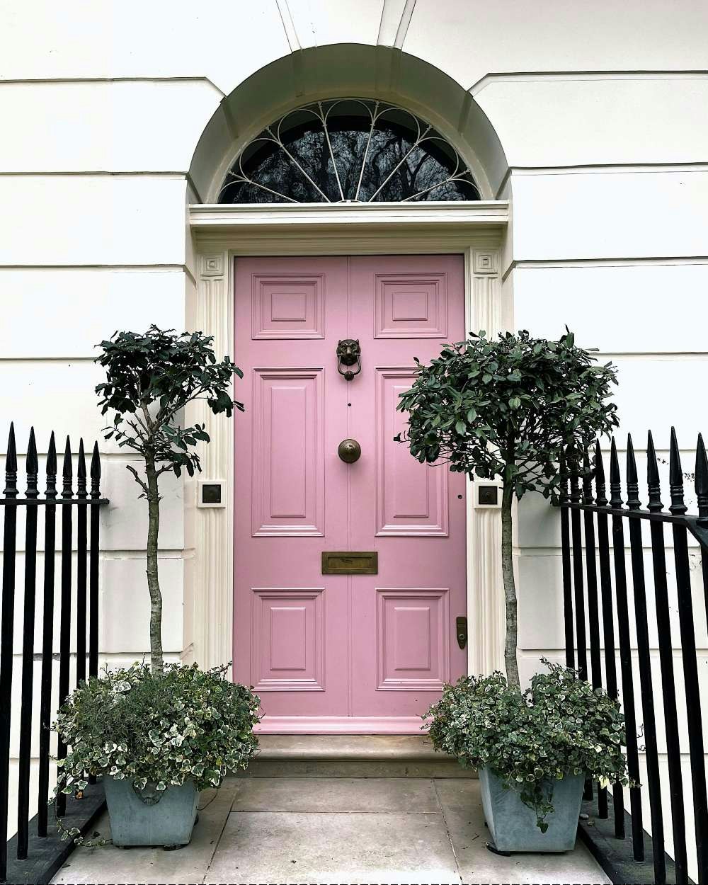 devanture maison rose avec plantes
