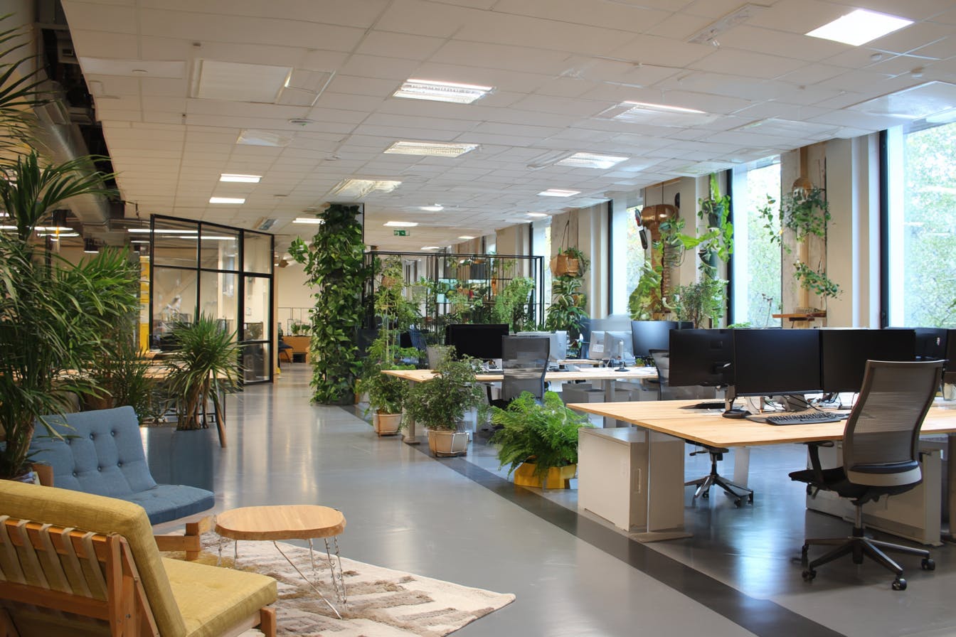 open space