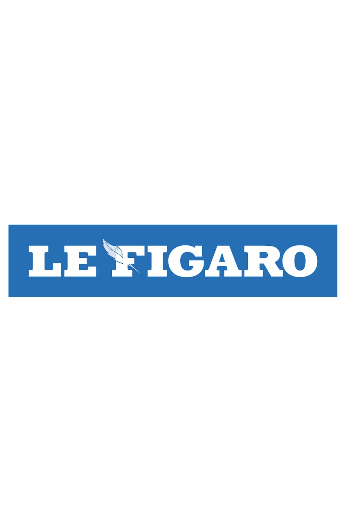 Article Le Figaro sur hemea