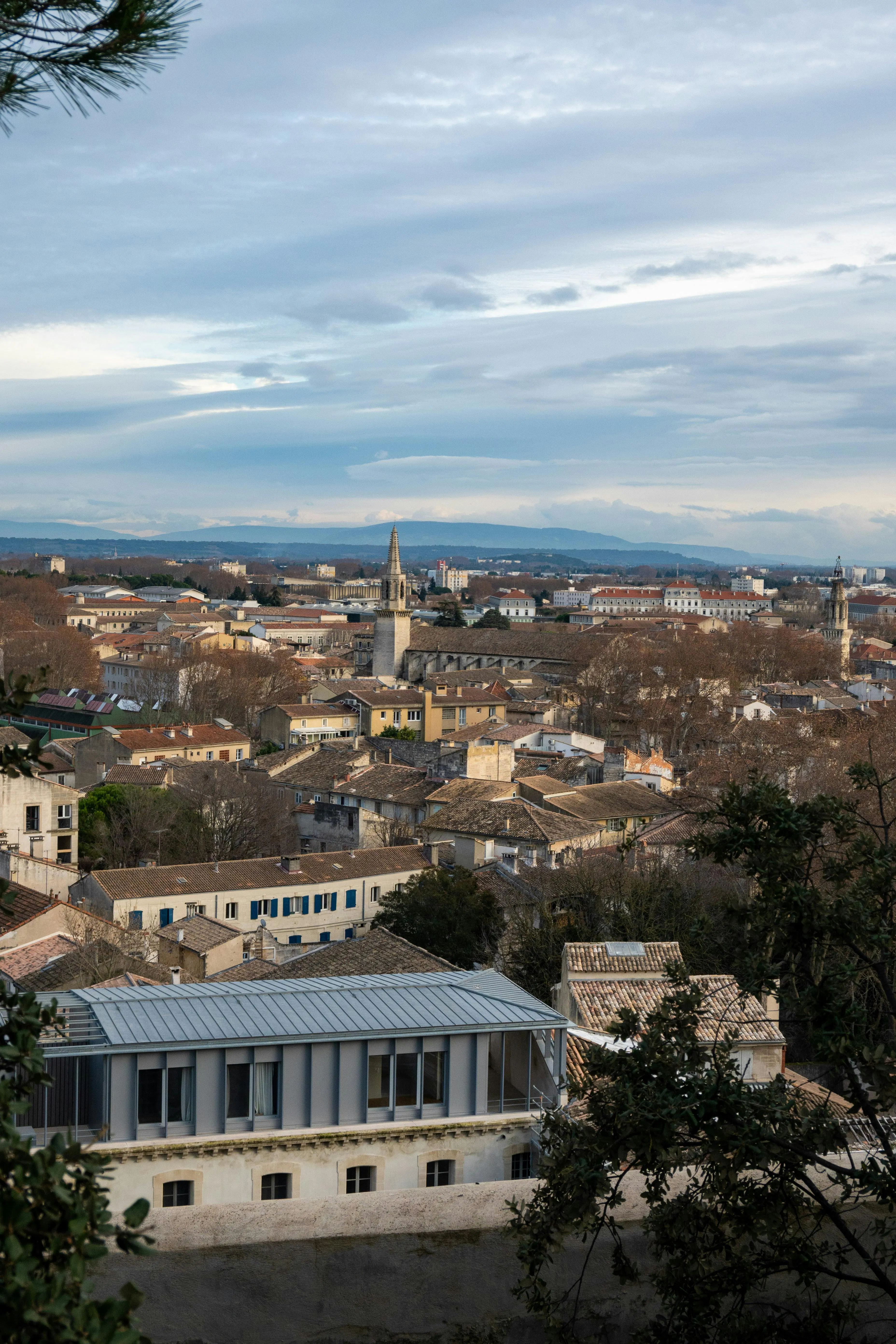 Avignon