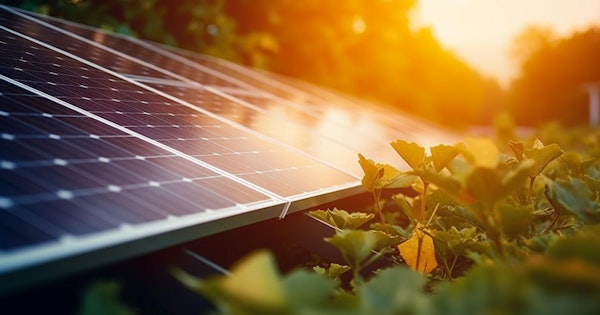 Photovoltaïque pas à pas: Le guide pratique pour débutants pour la