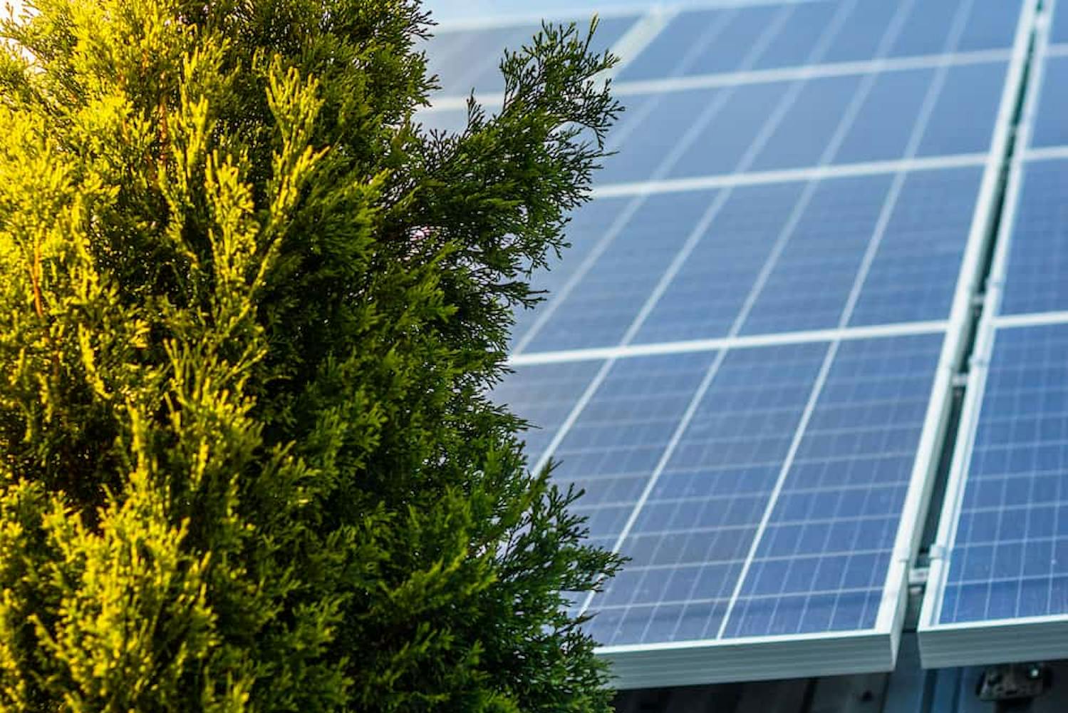 panneaux photovoltaïques