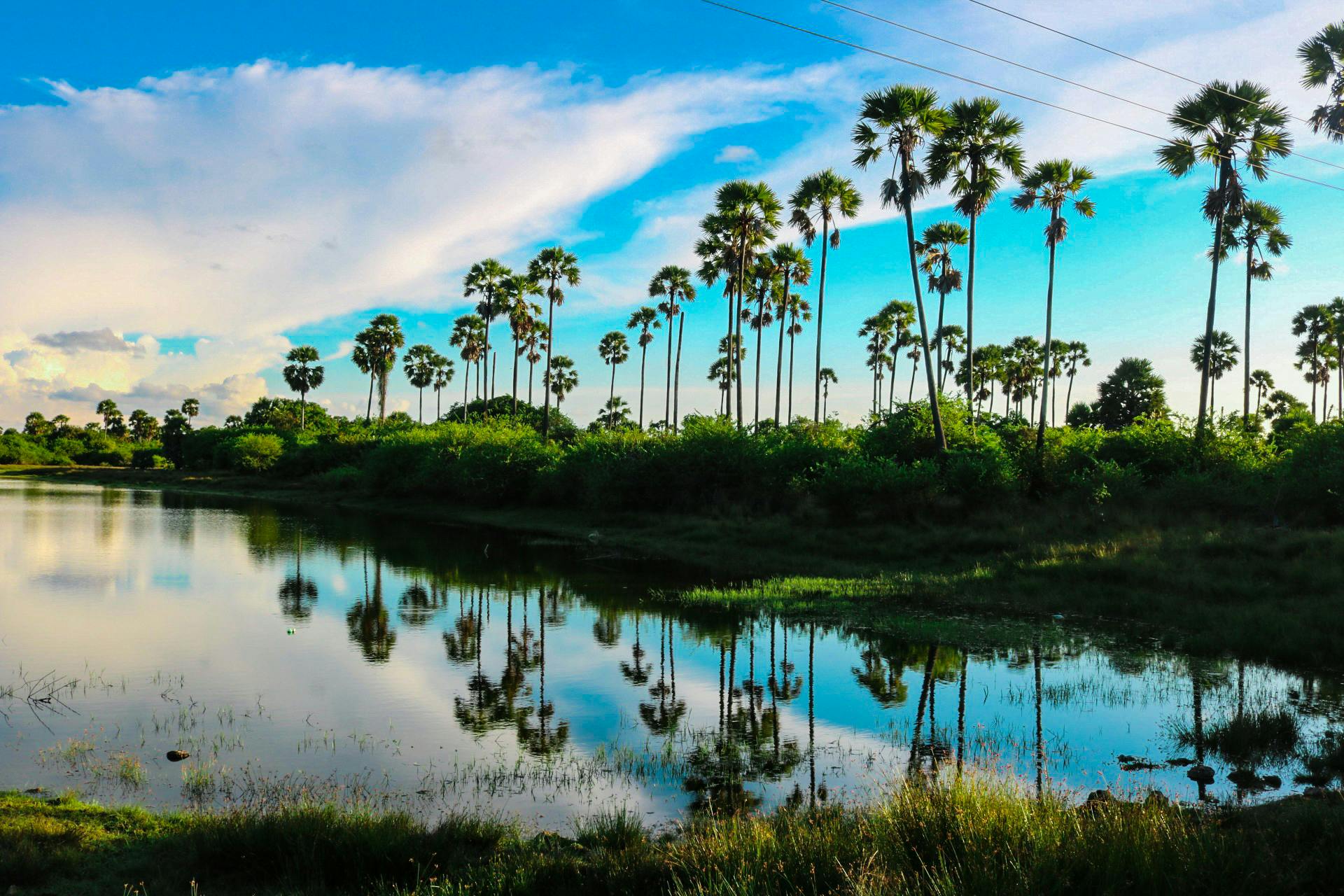 Jaffna