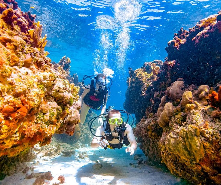 Barracuda Reef, Hikkaduwa