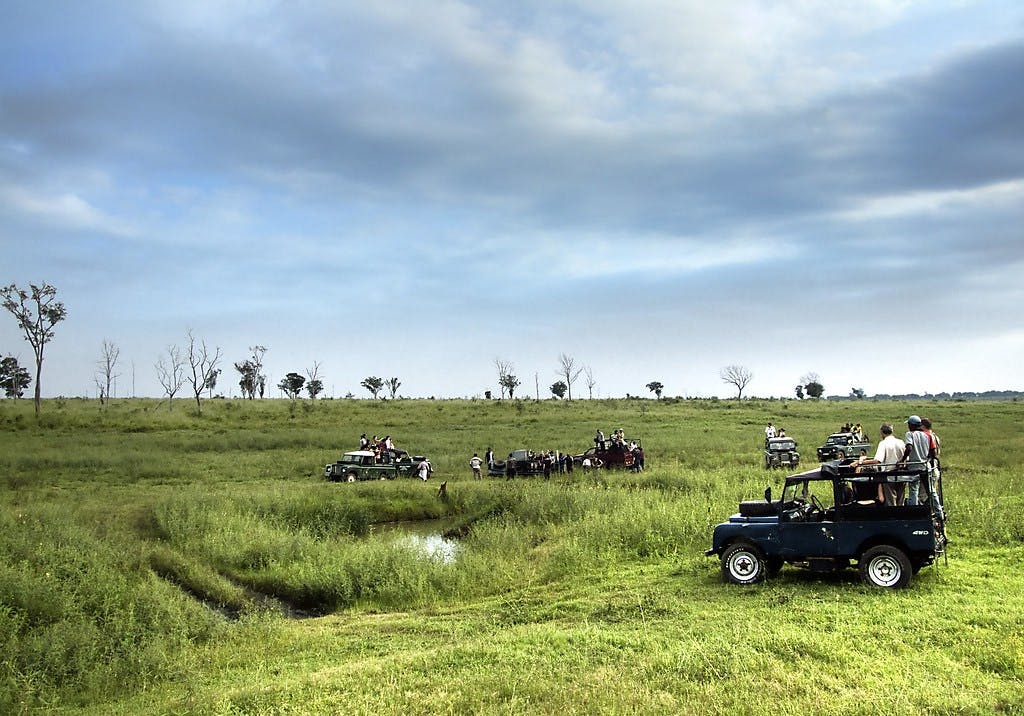Udawalawe National Park