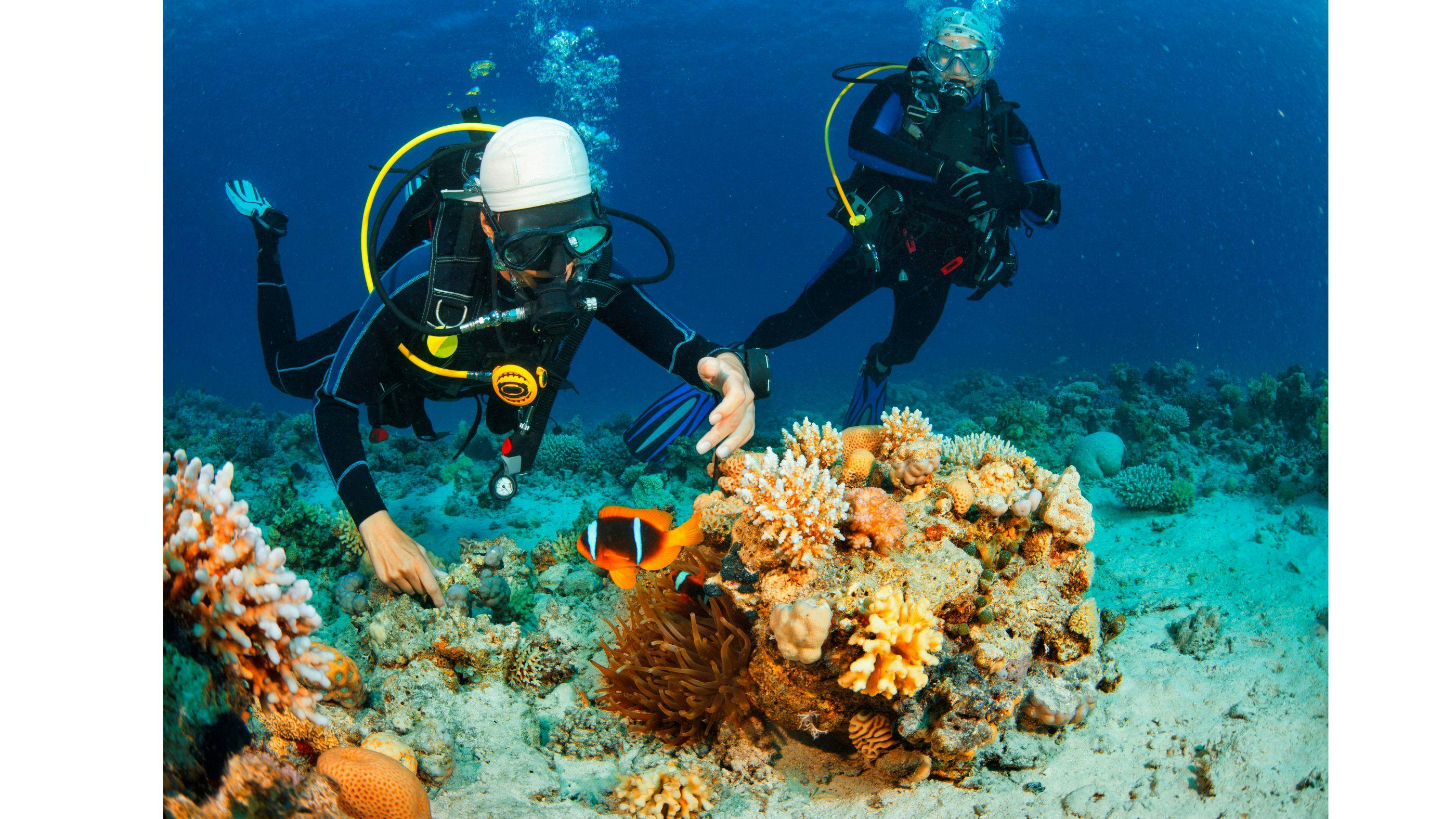 Best Time for Diving & Snorkeling