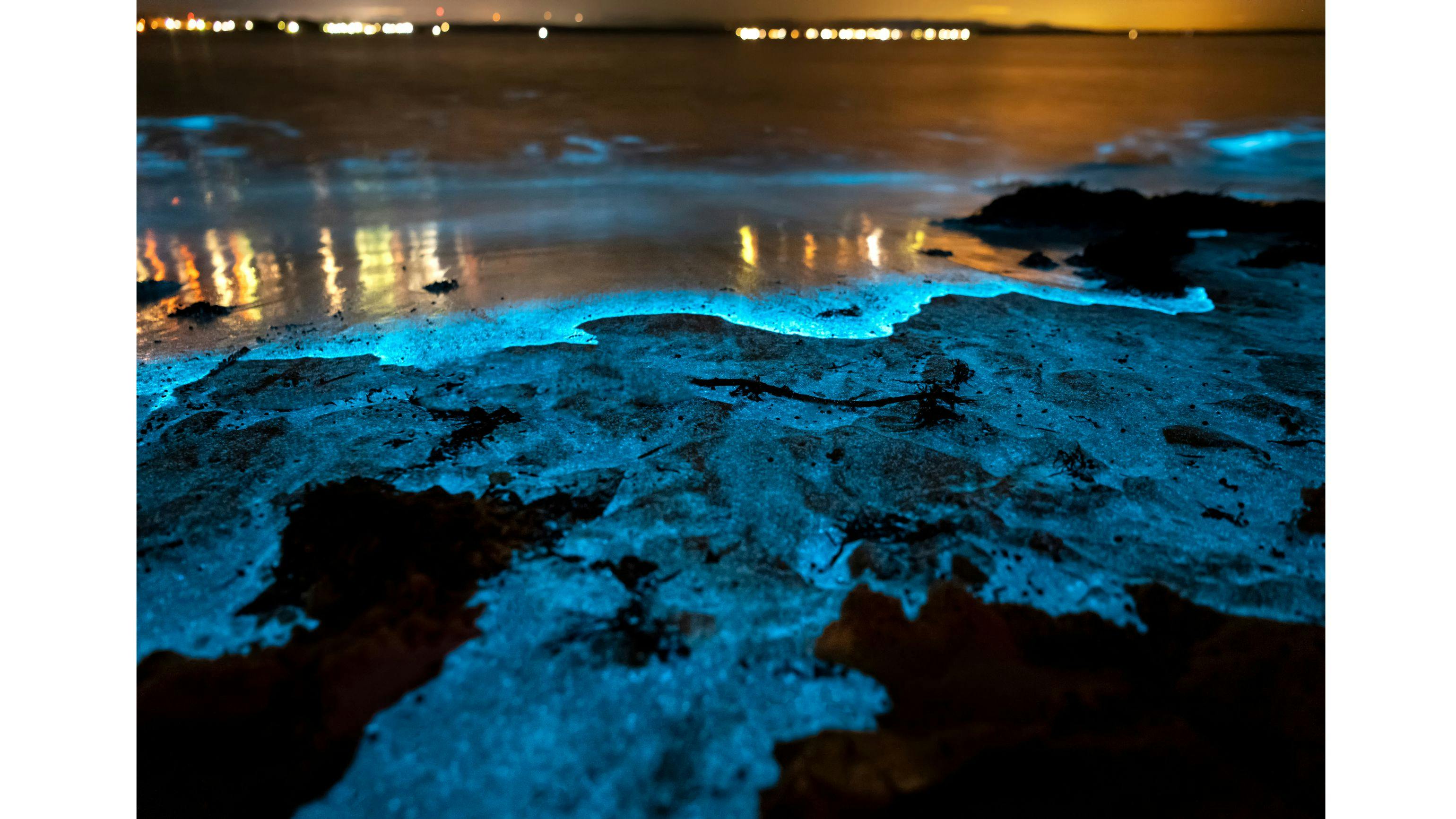 Vaadhoo Island – The Mesmerizing Bioluminescent Beach