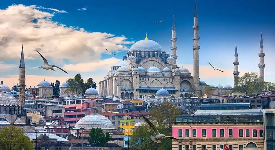 turkey