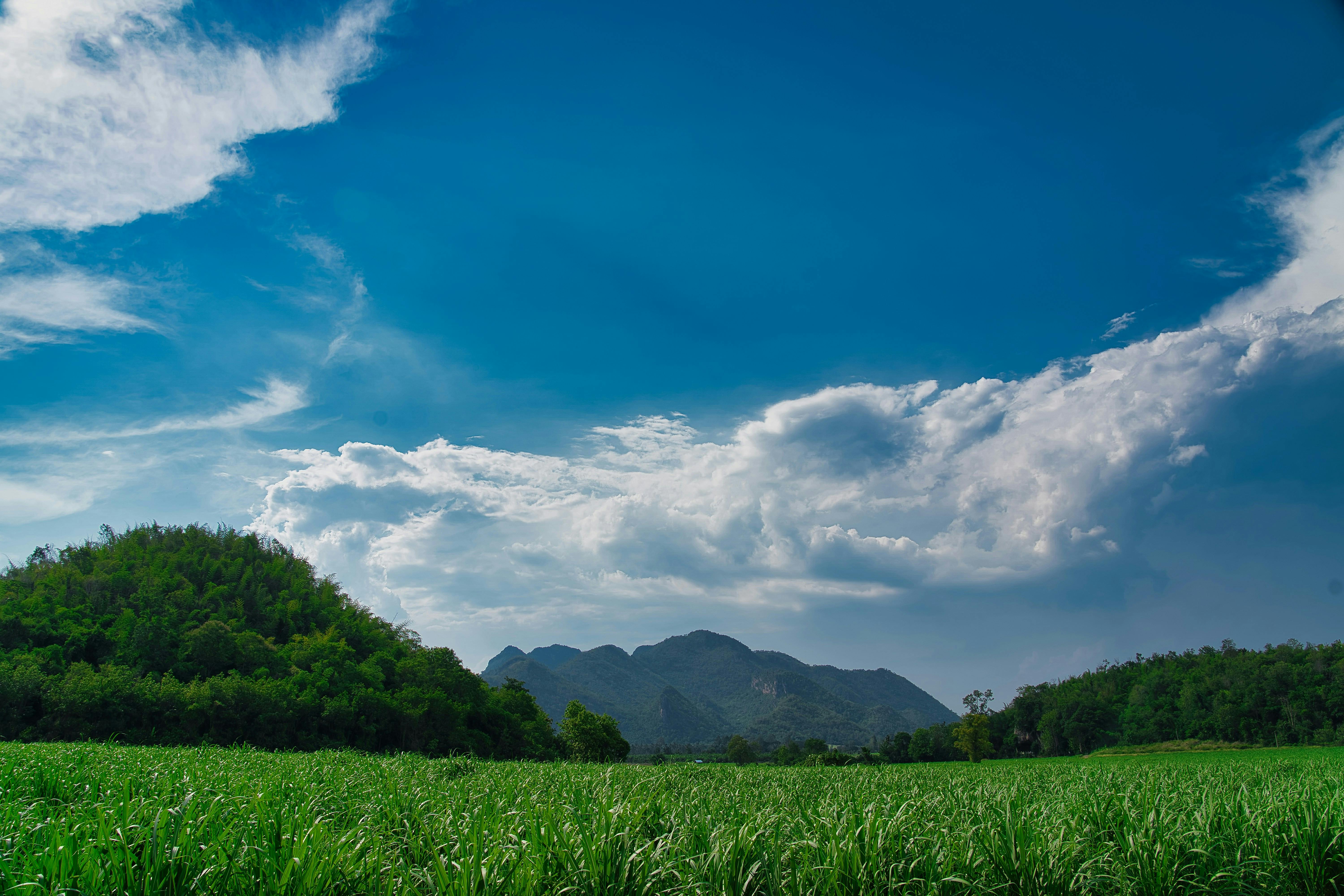 Northeastern Thailand (Isan)
