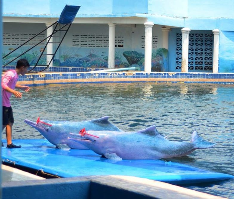 Oasis Sea World