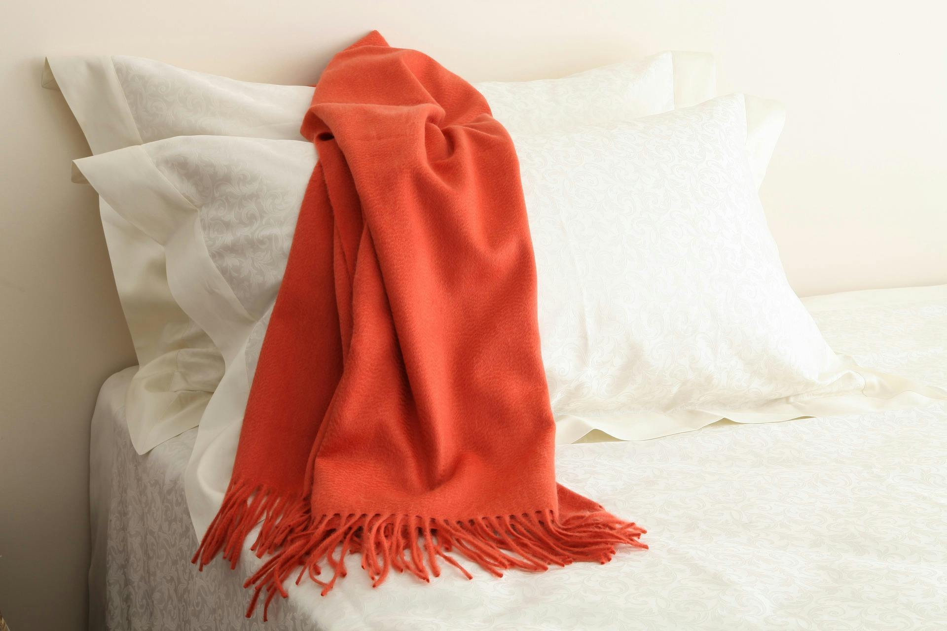 Pashmina Shawls