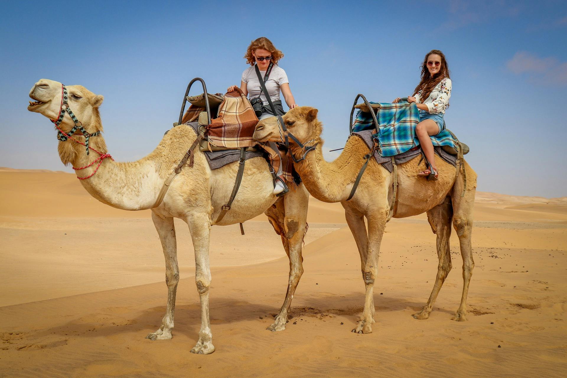 Camel Riding in the Desert