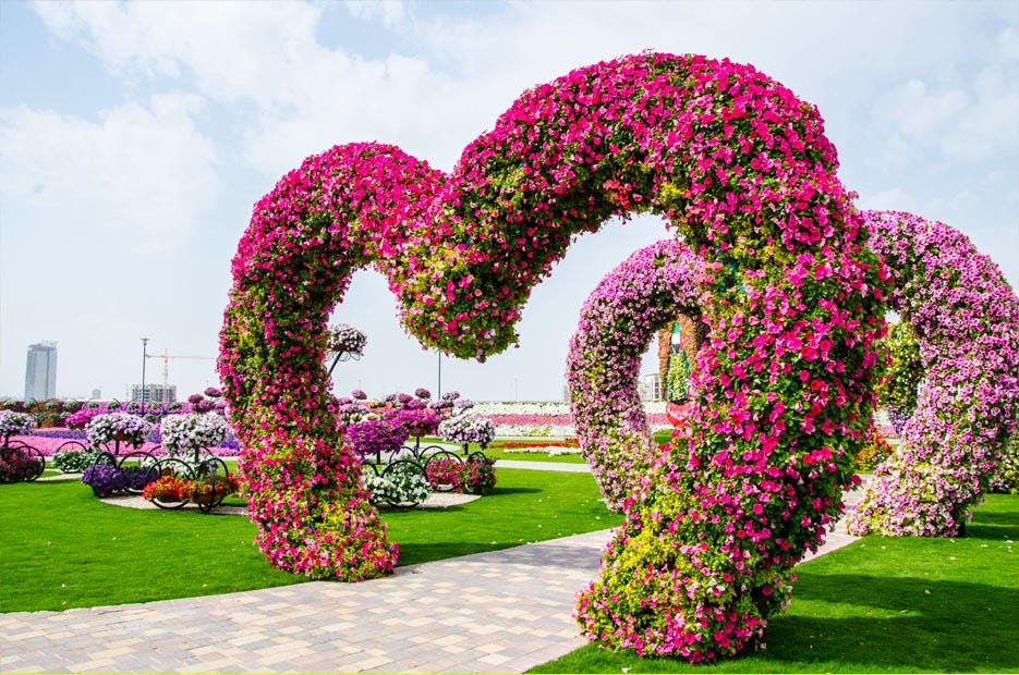 Go to the Dubai Miracle Garden