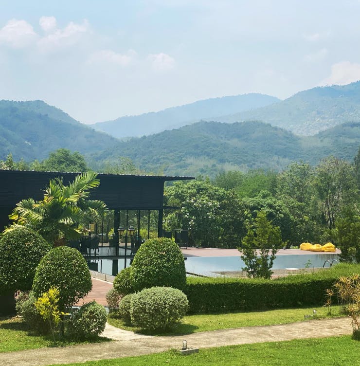 Suan Phueng