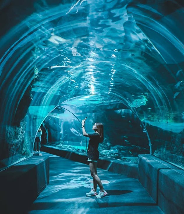 Siam Ocean World
