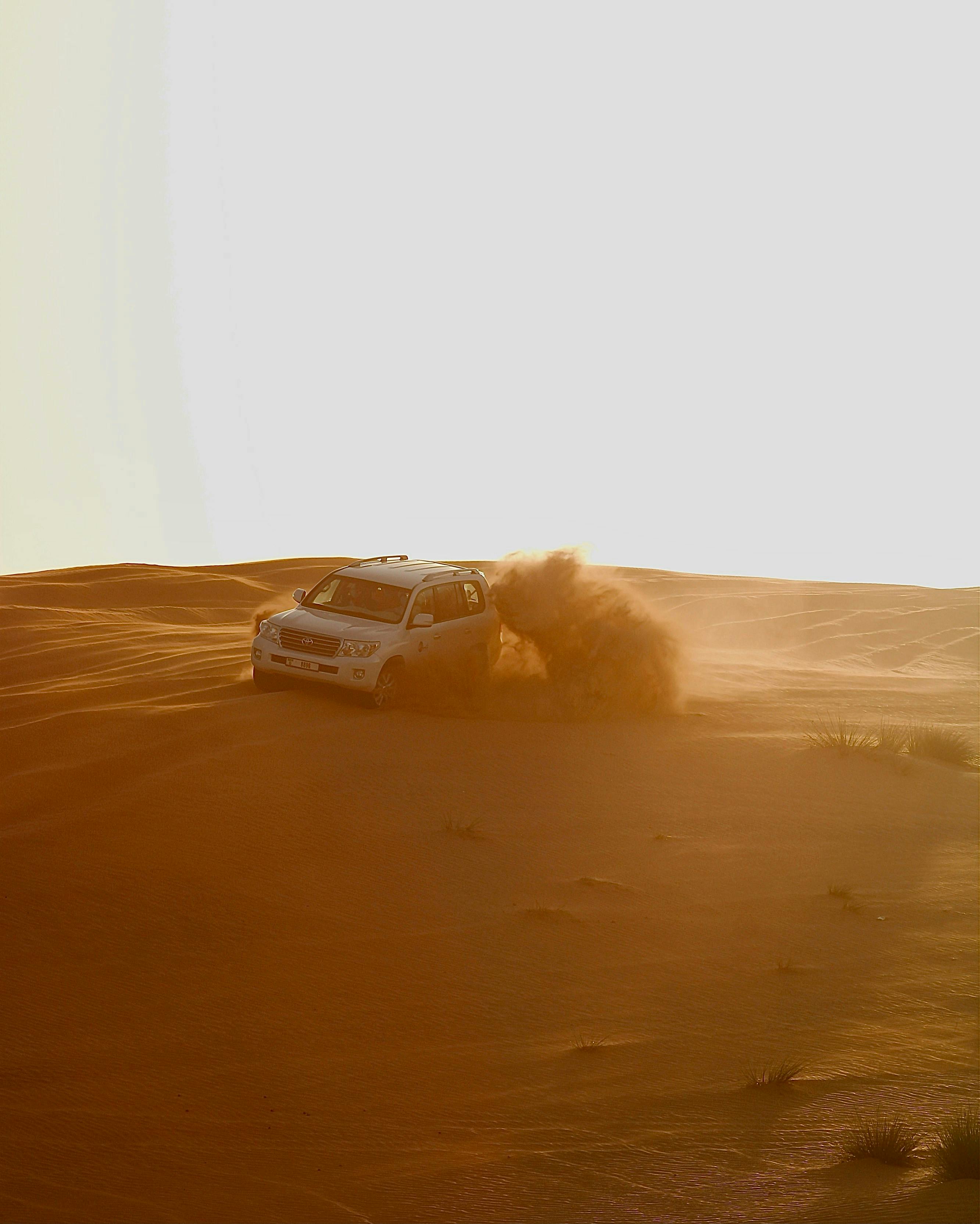 Go on a Desert Safari
