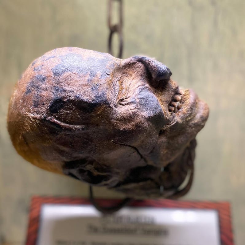 Ripley’s Believe It or Not! Museum
